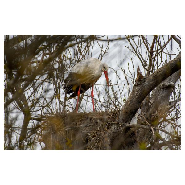 PHOTO84, CLUB, 84 , LUBERON